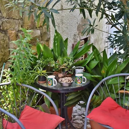 Jug - With Private Garden