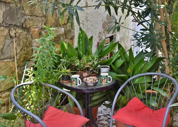 Jug - With Private Garden